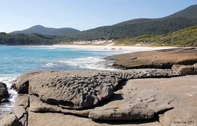 Indian-origin friends drown at Australian beach