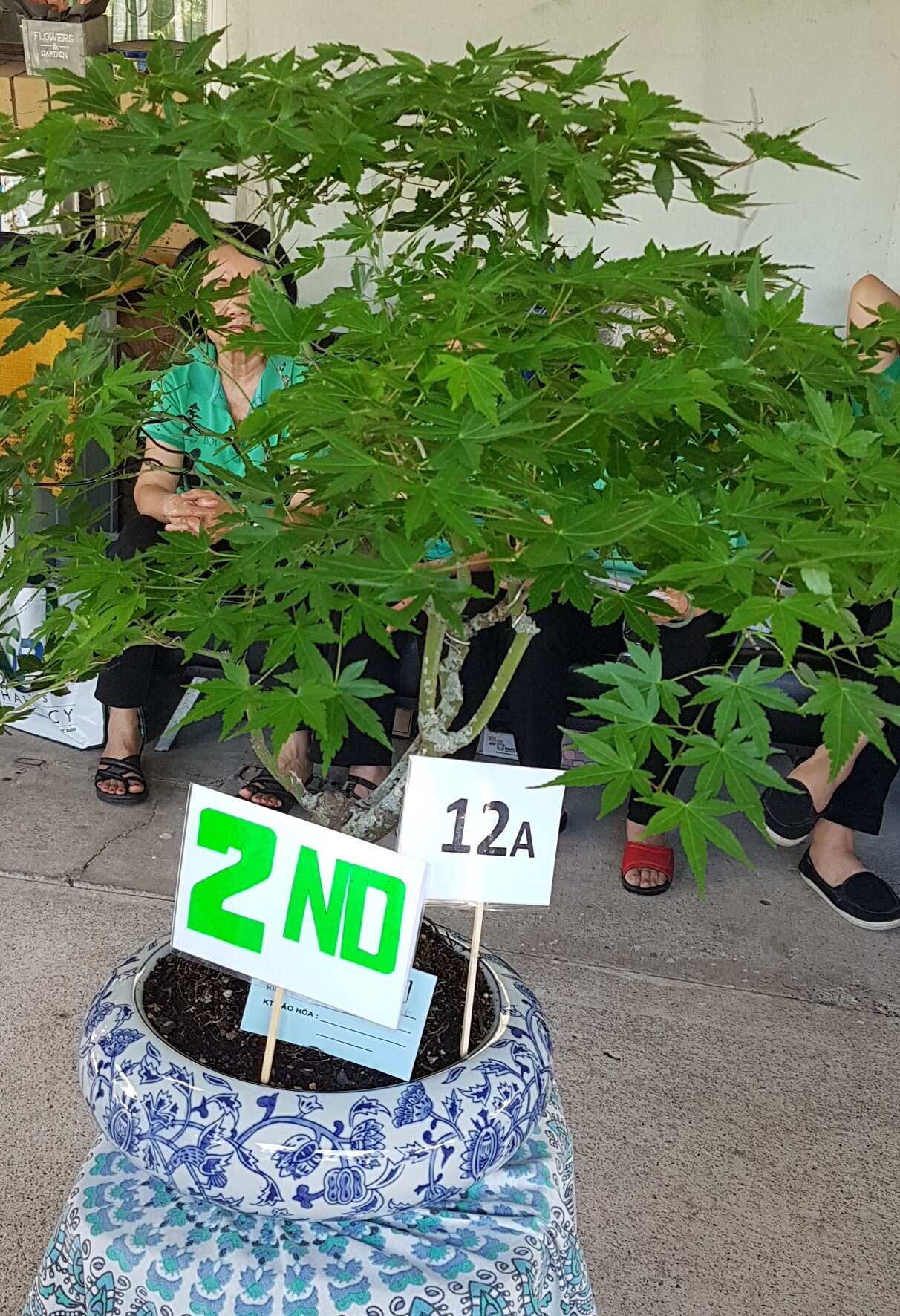 Nhì đồng hạng