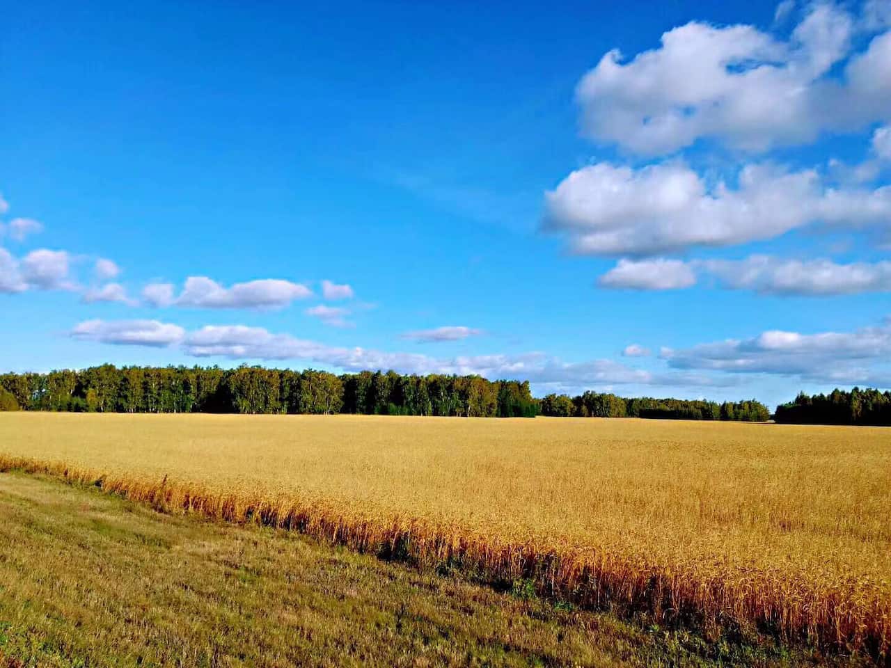 Mr. Wu passes through Siberia