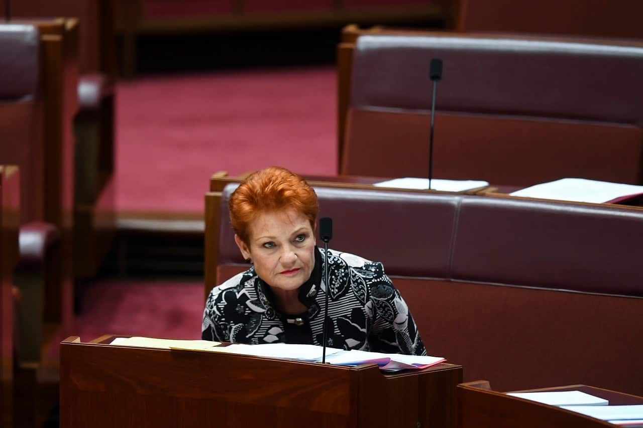 One Nation party leader