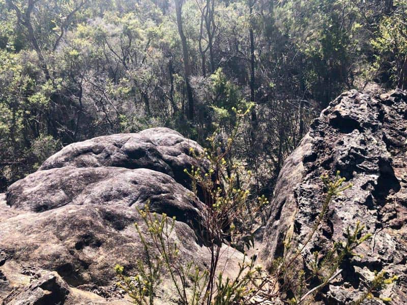 Rescue Search For Qi Yu