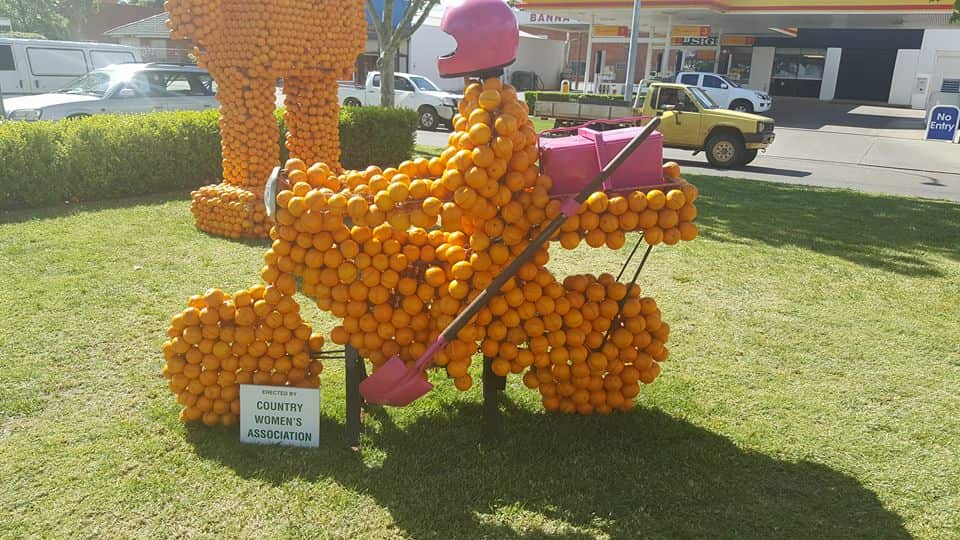 Griffith Citrus festival