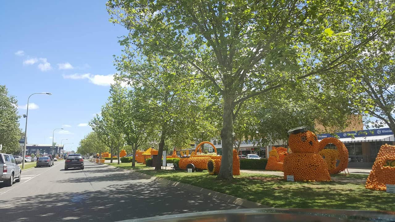 Griffith Citrus festival