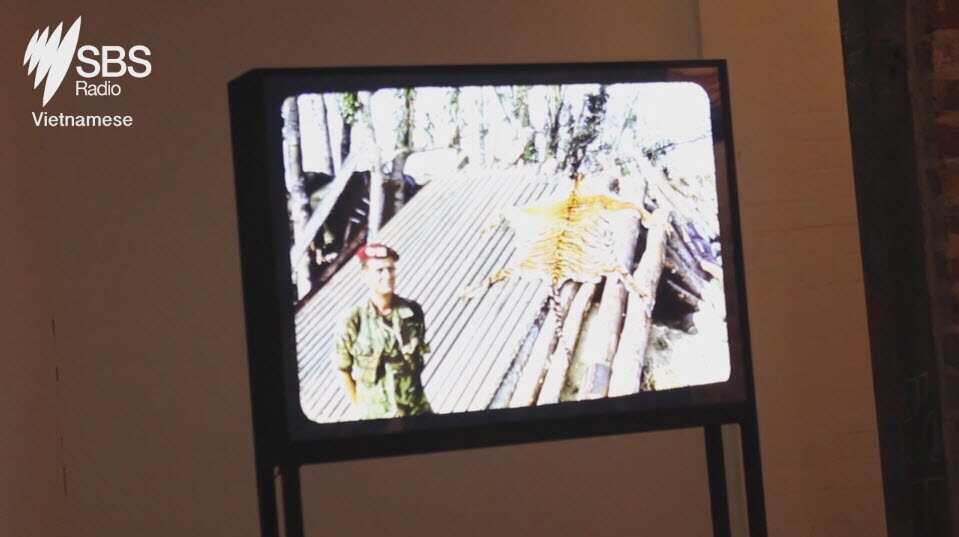 Conflicted: Works from the Vietnam Archive Project