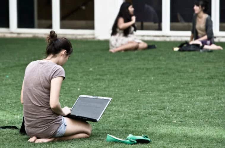 "We’ve gone from a detection rate of almost nothing to quite a substantial detection rate," Cath Ellis, UNSW's associate dean of education in the faculty of arts and social sciences, says.