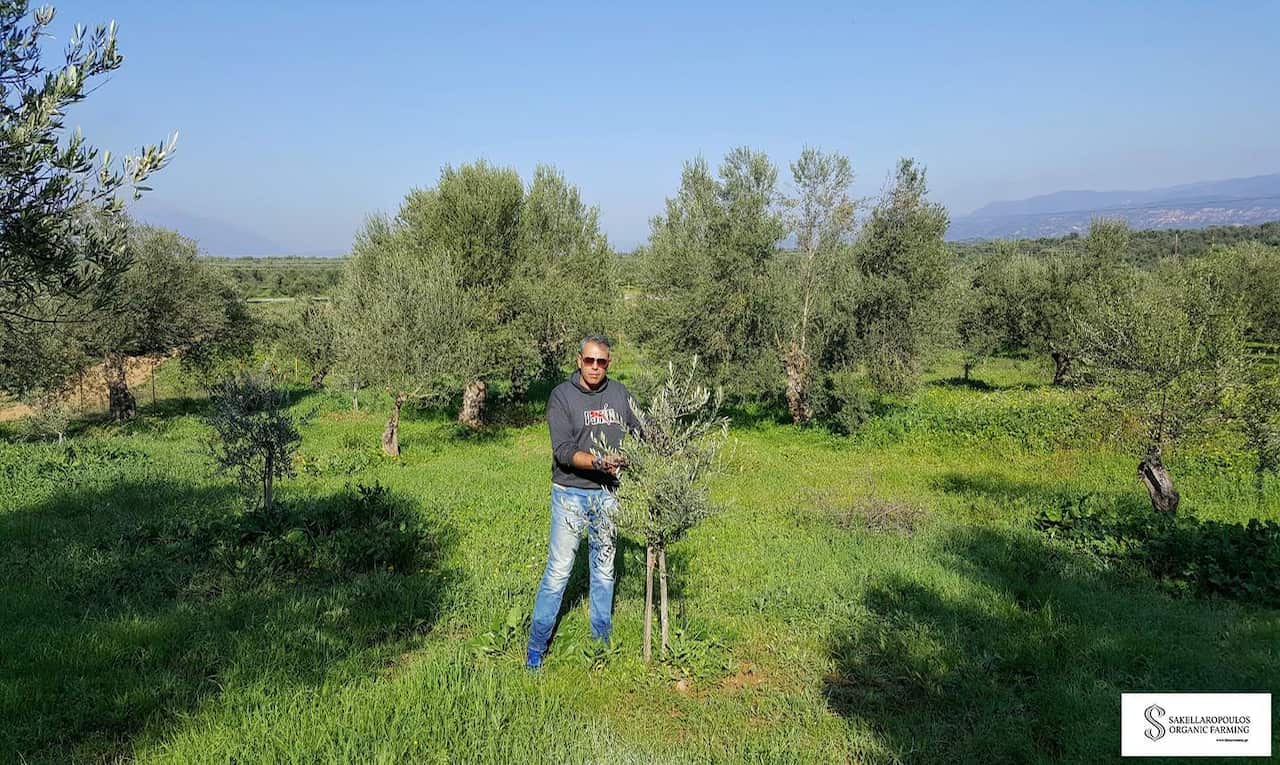 Giorgos Sakellaropoulos