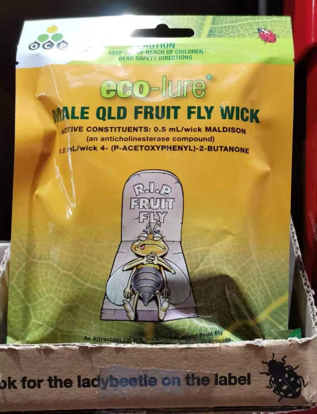 专门诱杀雄果蝇的药