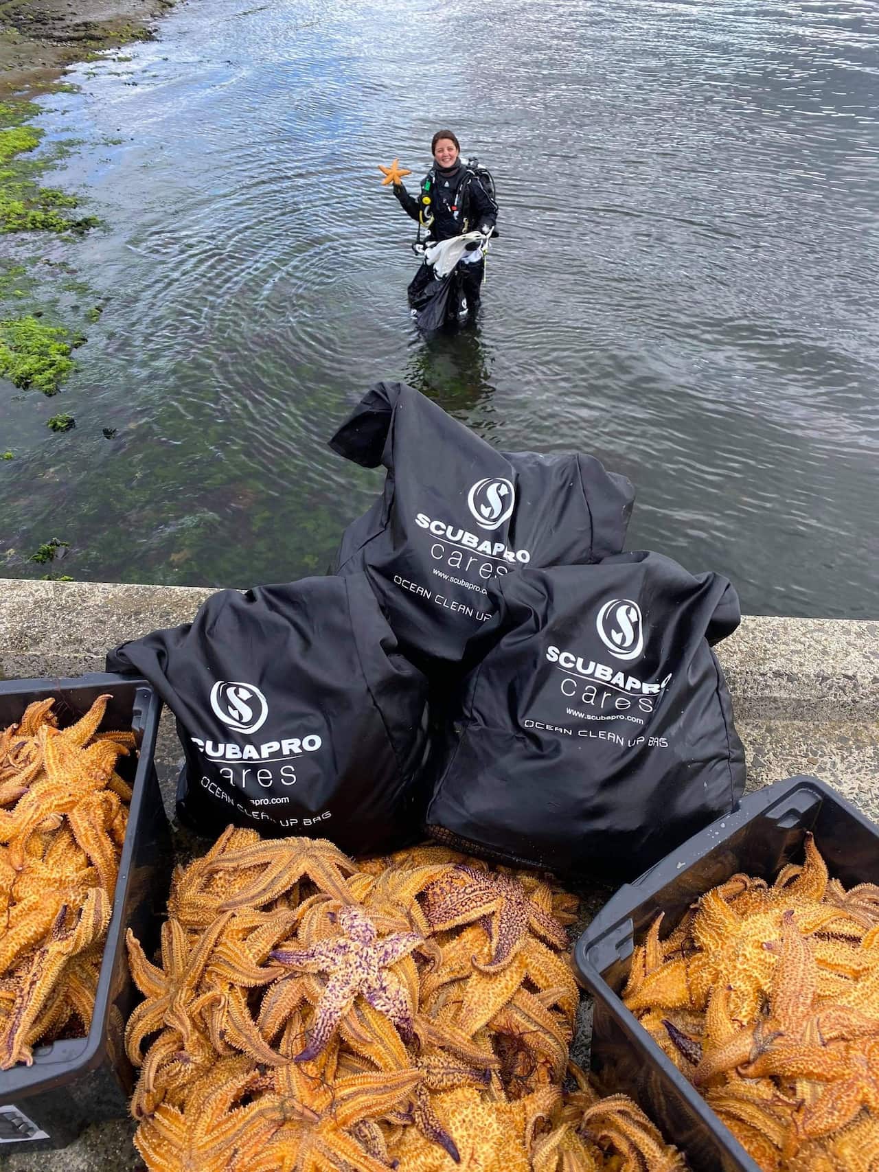 نادیا عزیزآبادی