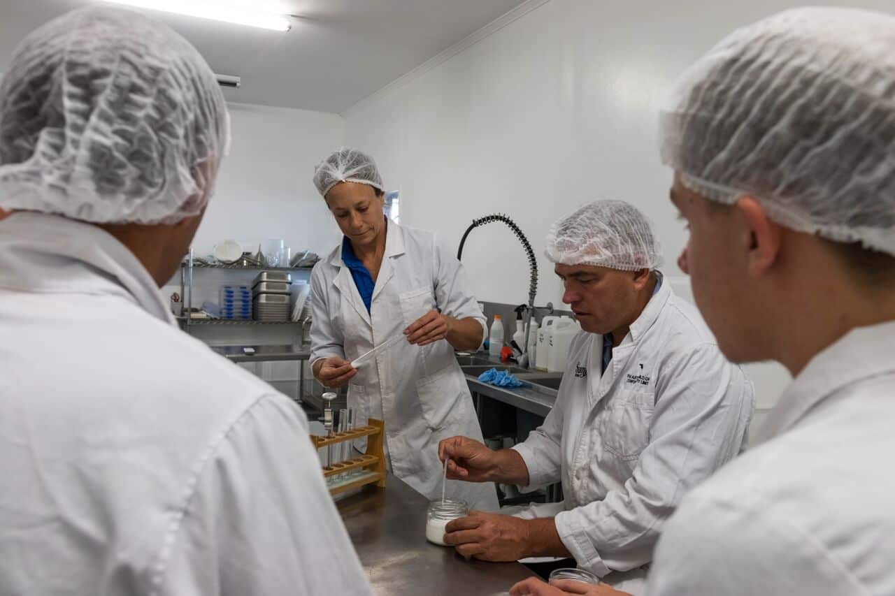 Camel milk processing lab at summerland camel QLD