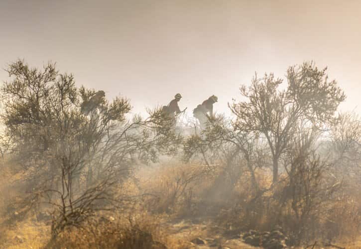 Trump Stymies California Climate Efforts Even as State Burns