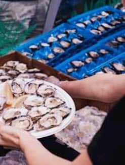 Sydney Royal Easter Show 2018