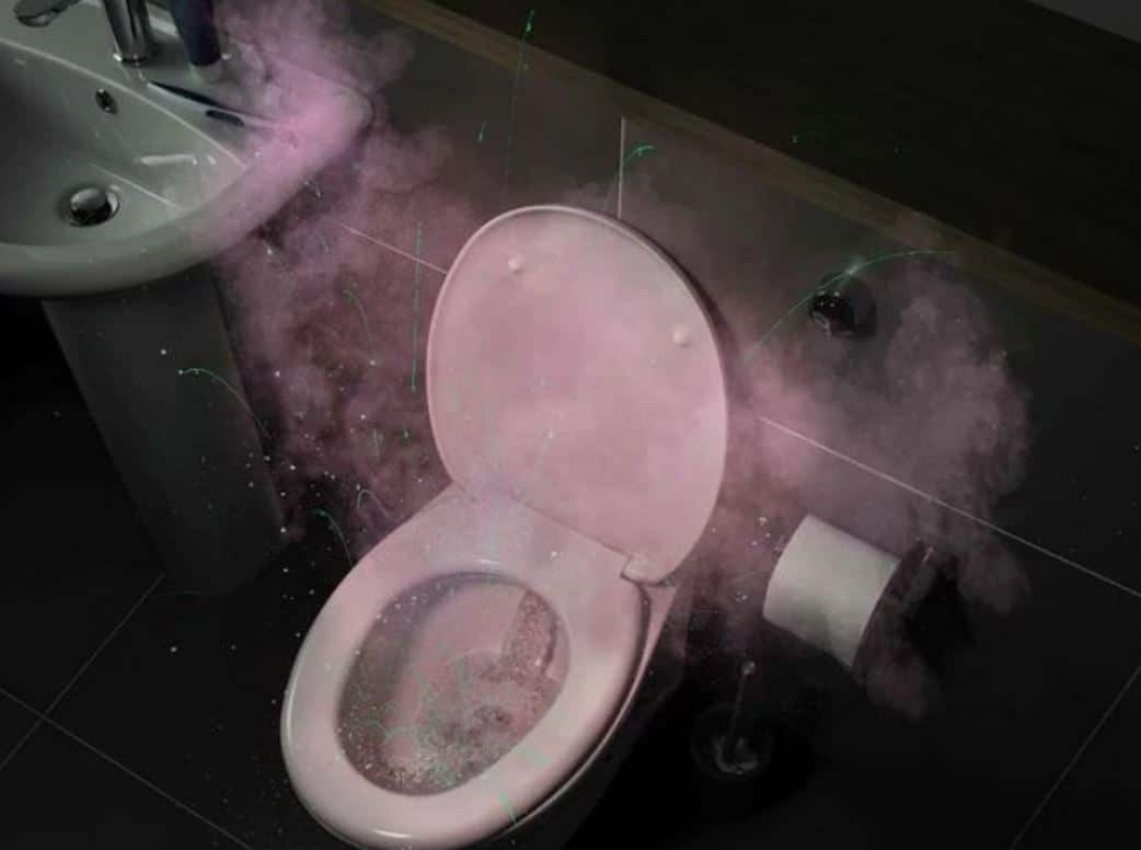 Stunning images reveal what happens when you leave the toilet lid up while flushing