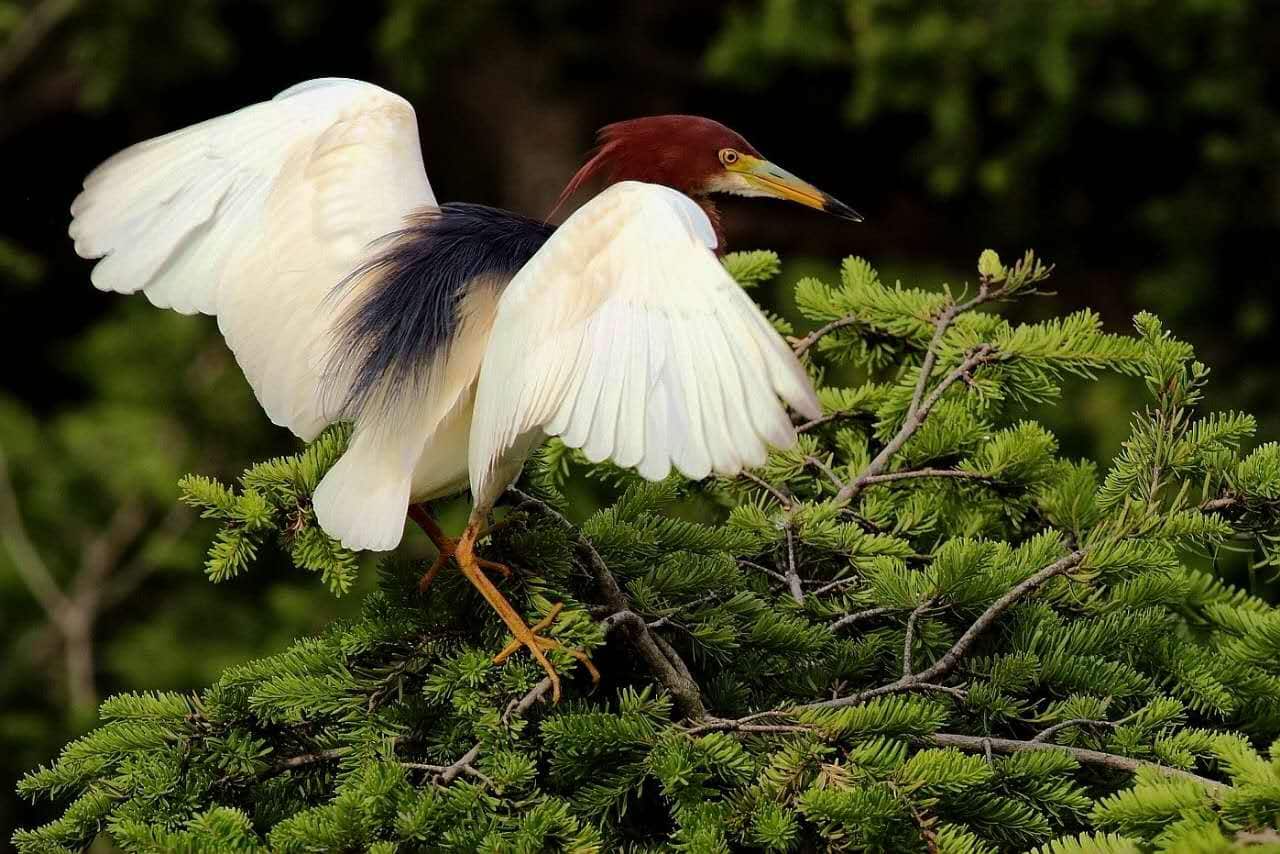 Mr.Feng and his paintings, photographs