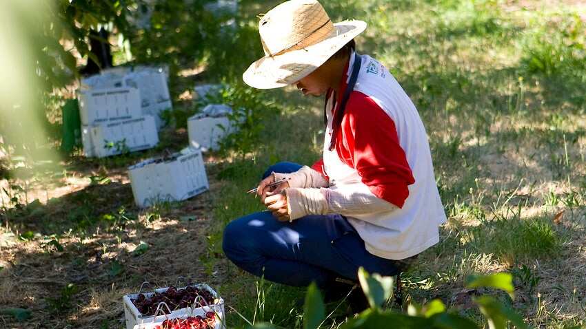 farmers’ and sports visa