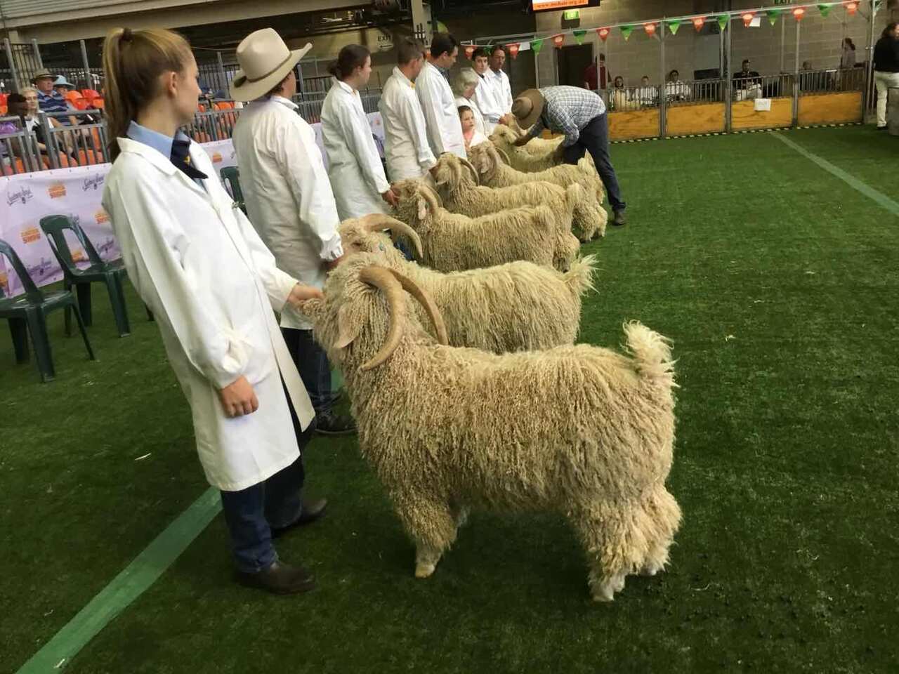 Sydney Royal Easter Show 2018