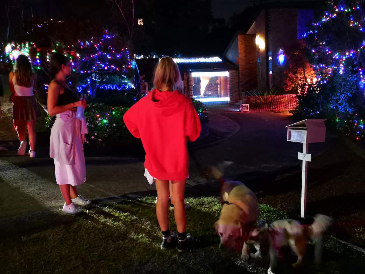 Borgins Street Christmas lights