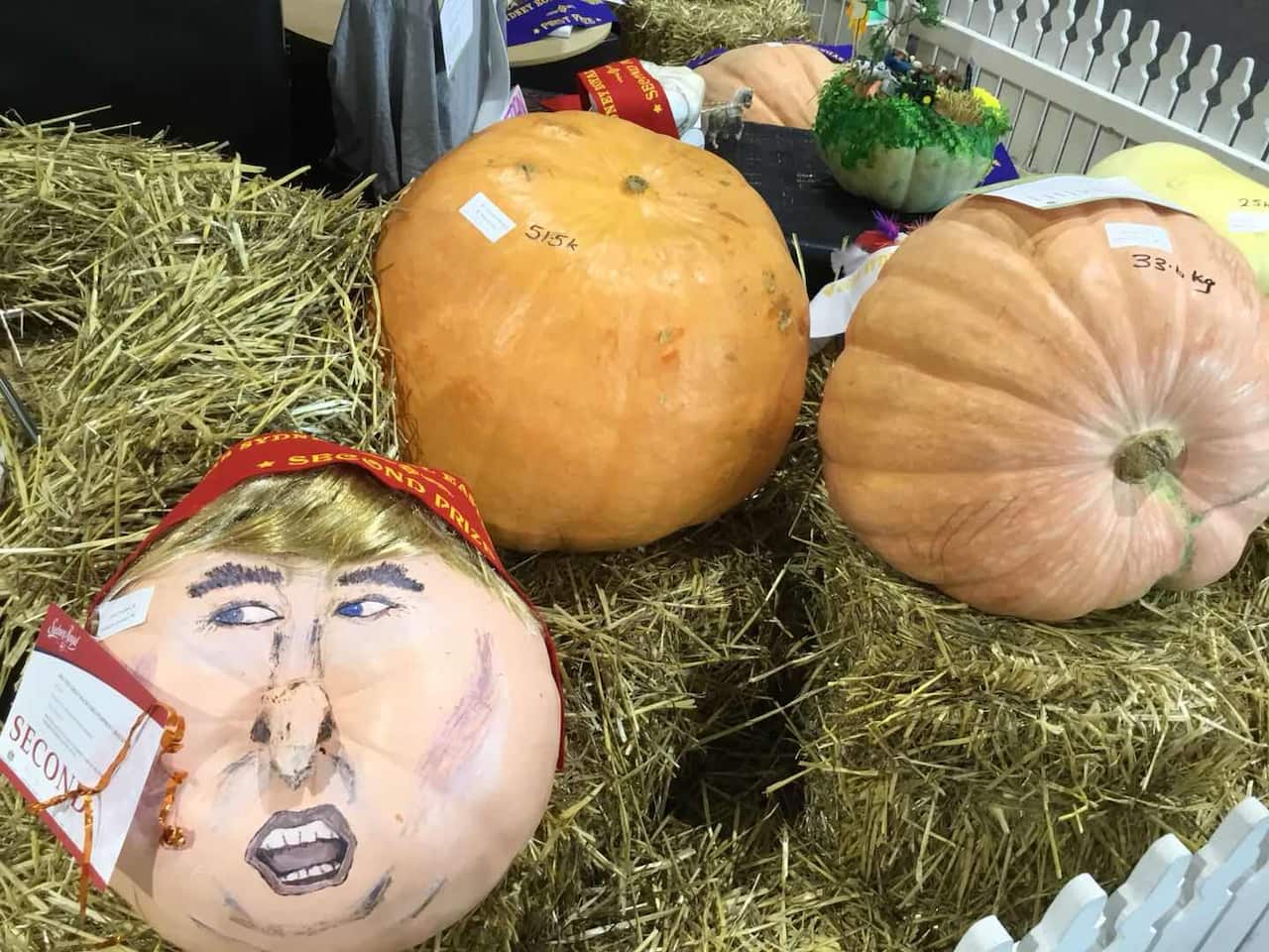 Sydney Royal Easter Show 2018