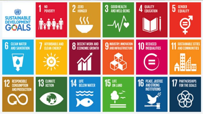United Nation Sustainable Development Goals