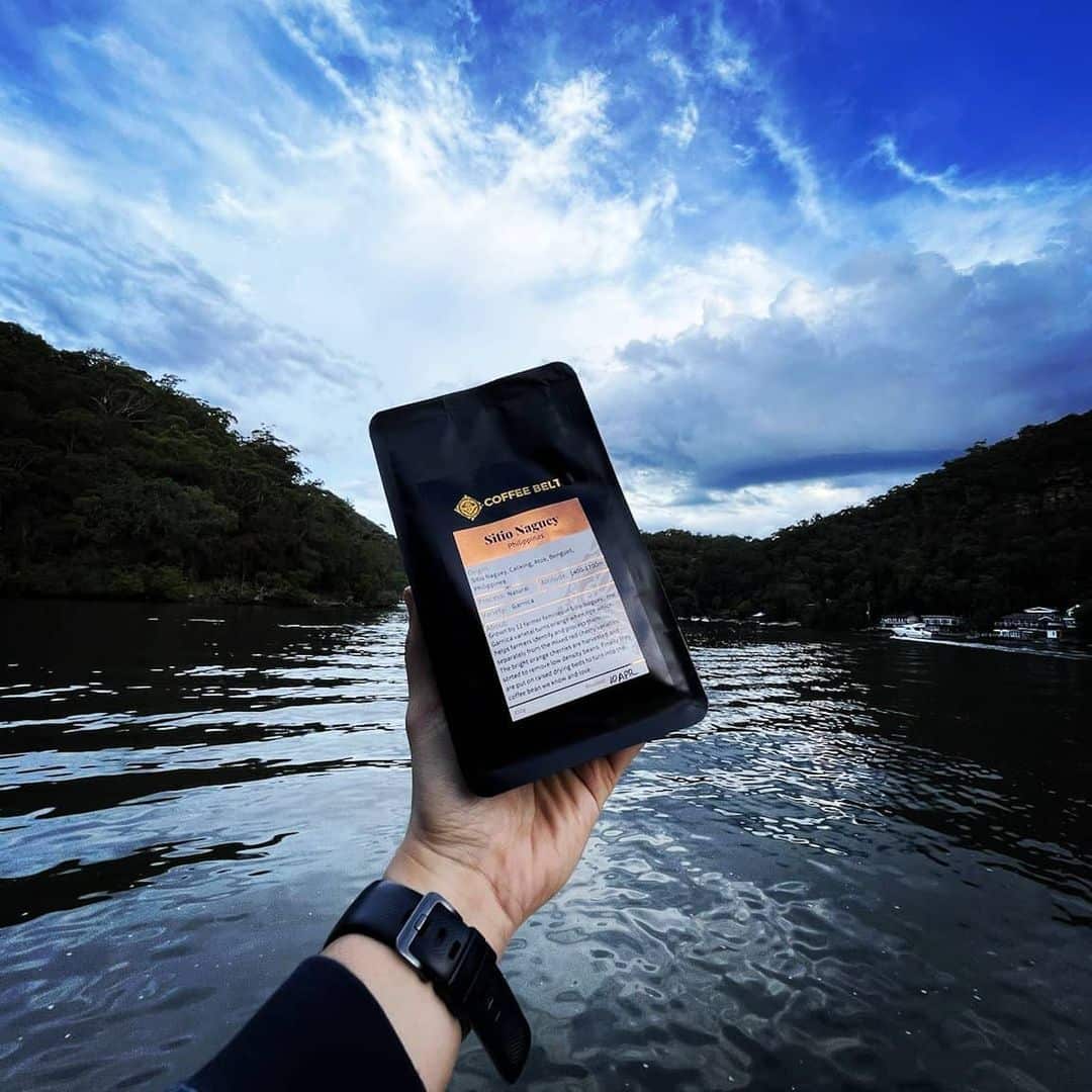 Coffee belt, filipino coffee, coffee