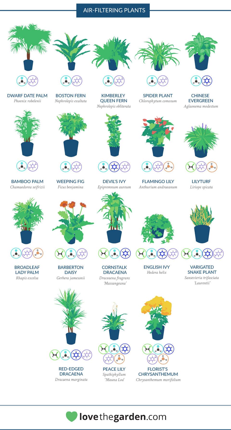 The Best Air-Cleaning Plants, According To NASA
