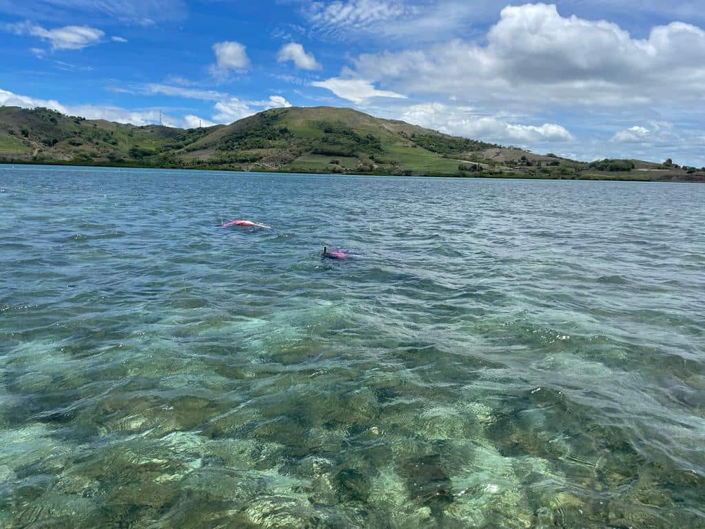 The women of Namuaimada village spend around four hours on the reef harvesting the nama. 
