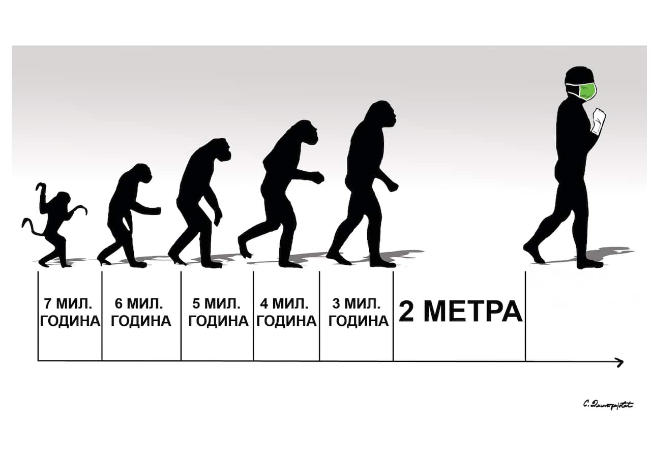 Саша Димитријевић
