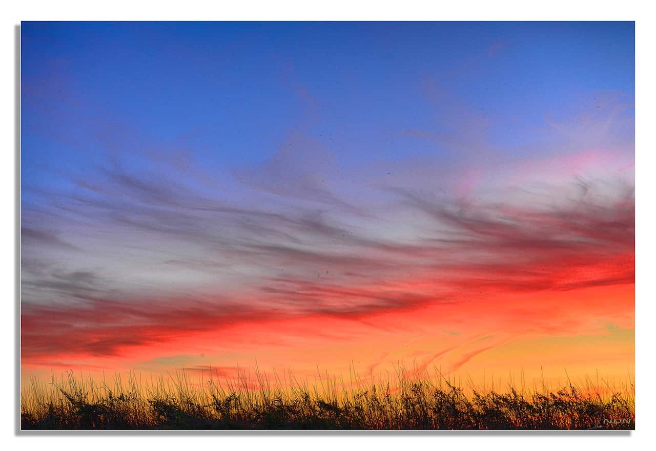 grass sunset