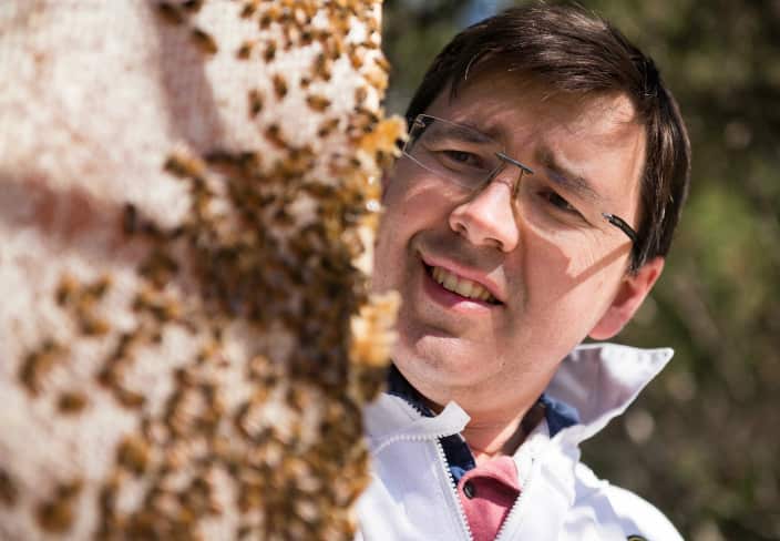 Australian Honey Biosota