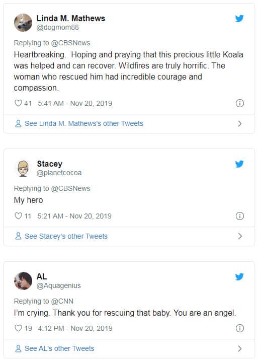 A NSW woman has attracted praise from around the world after helping a koala during this week's bushfires