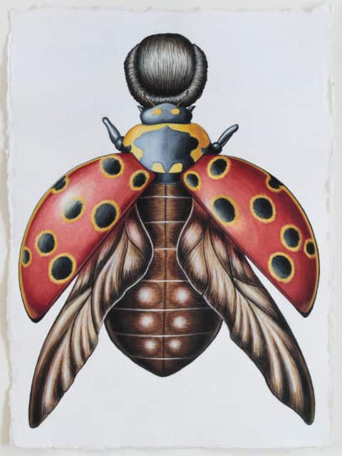 Ladybird Woman by Deborah Klein, 2014