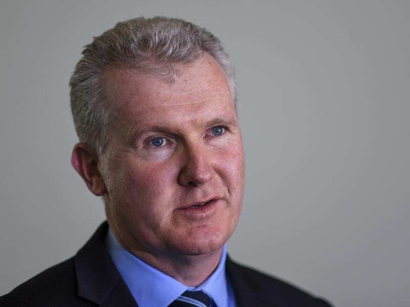 Labor's Tony Burke has questioned the PM's plan. 
