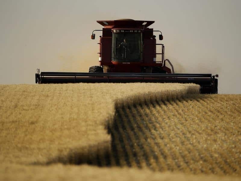 Wheat being harvested