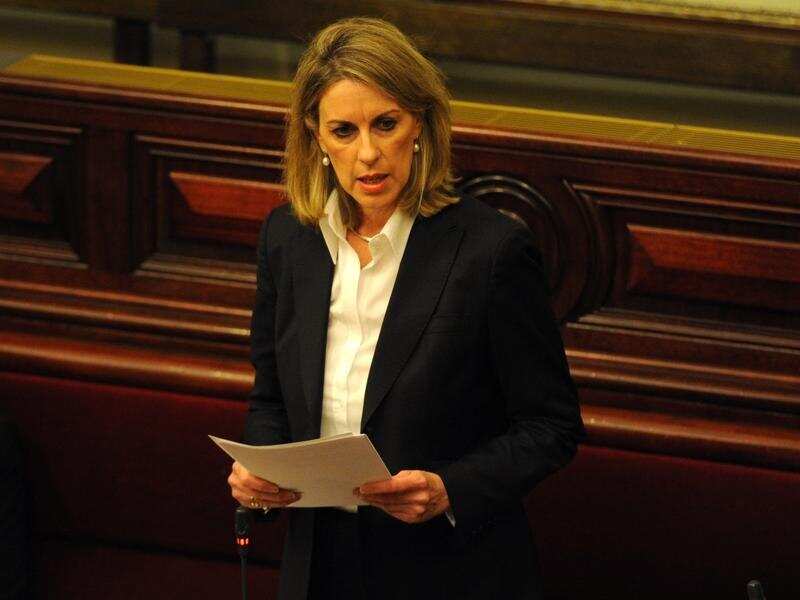 Liberal Upper House MP Georgie Crozier in parliament.
