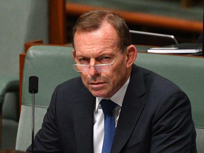 Tony Abbott says he's willing to take back a leadership position within the Liberal party, if asked. 