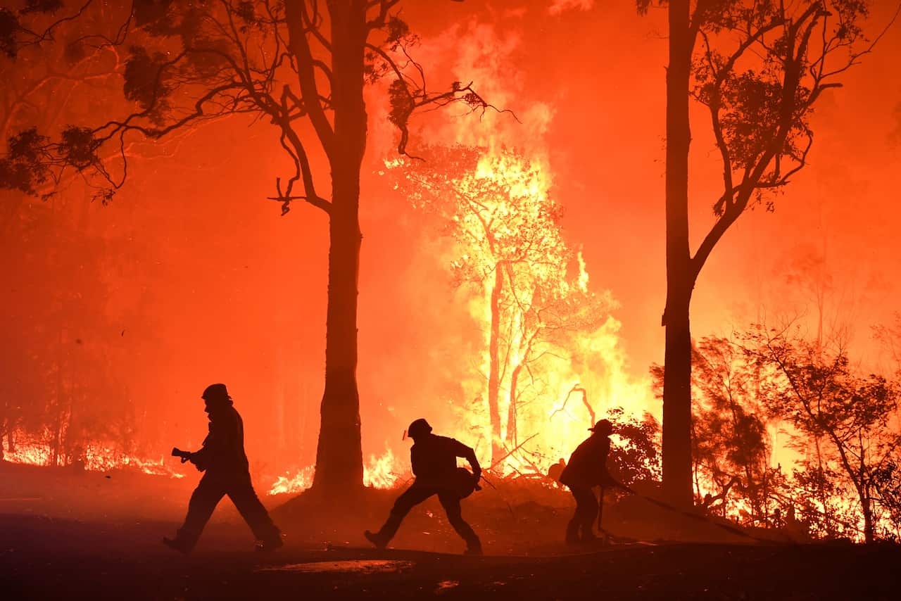 RFS volunteers and NSW Fire and Rescue officers fight a bushfire south of Sydney during the Black Summer bushfires.