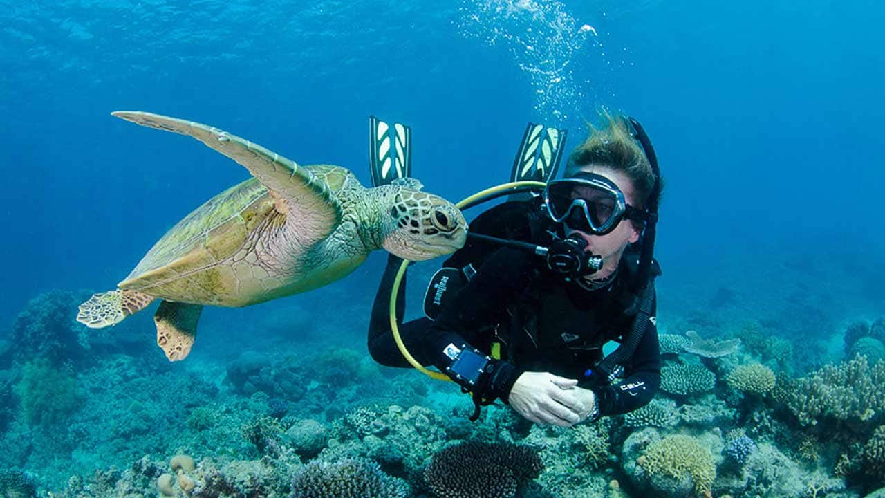 Diving on the Great Barrier Reef