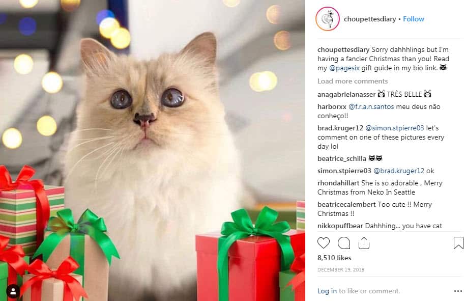 Karl Lagerfeld's cat could receive part of his massive $270 million fortune