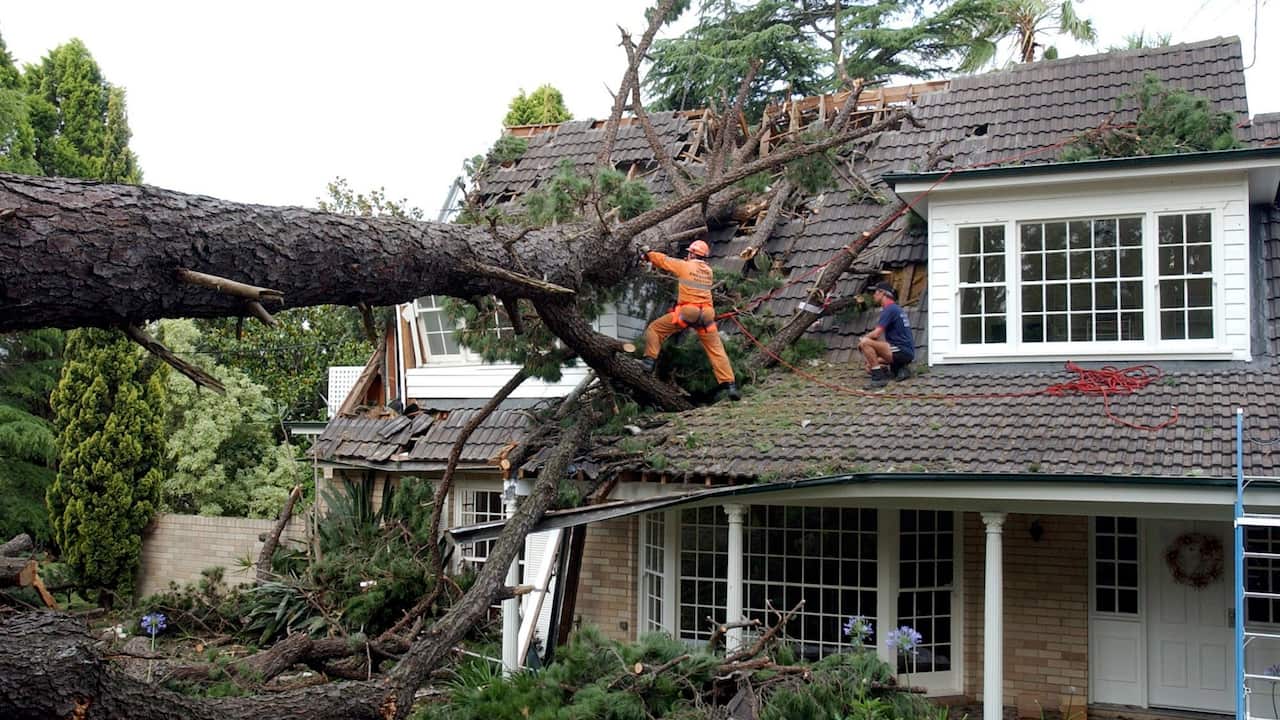SES workers try to remove an enormous tree out of the top storey of a house in Wahroonga/Sydney.