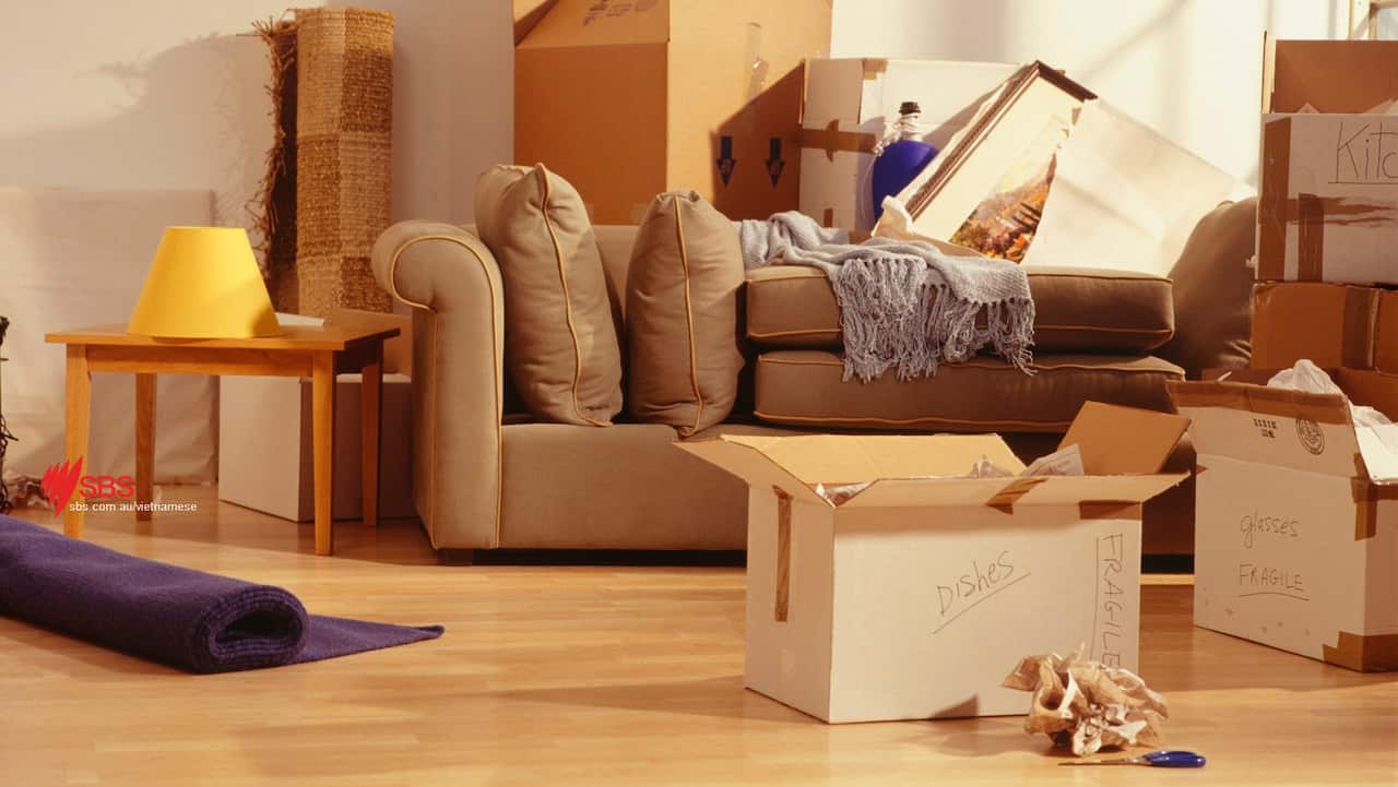 Yêu cầu mỗi thành viên tự sắp xếp đồ đạc cá nhân nếu nhà có nhiều người