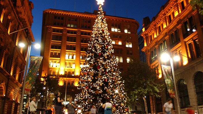 The decorative Christmas Tree