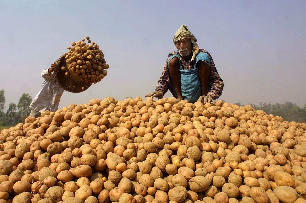 PepsiCo India potatoes