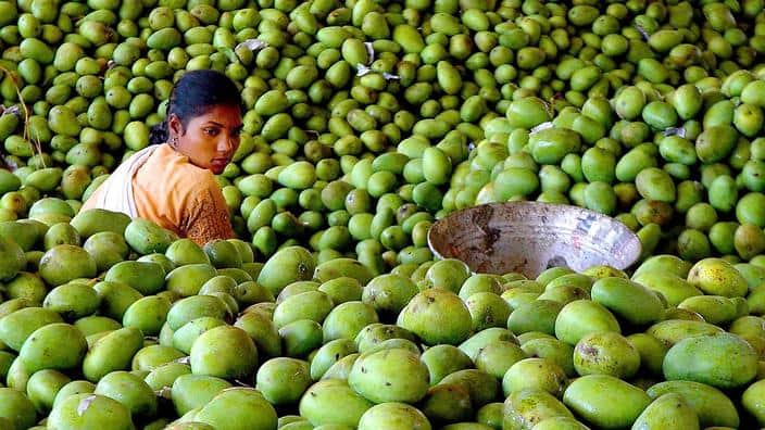 A woman worker works in local fruit market