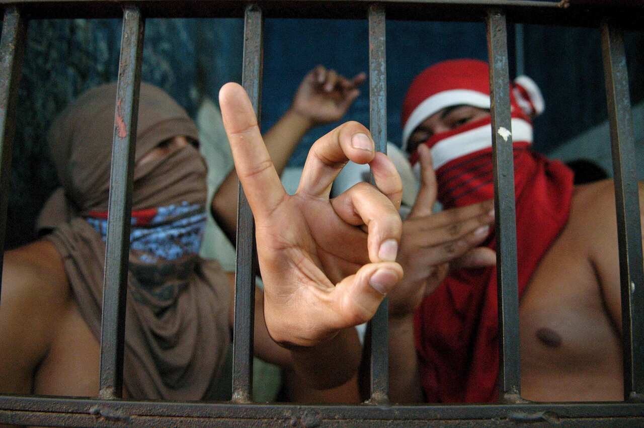 La muerte a diario: Historias Forenses con José Pablo Baraybar.