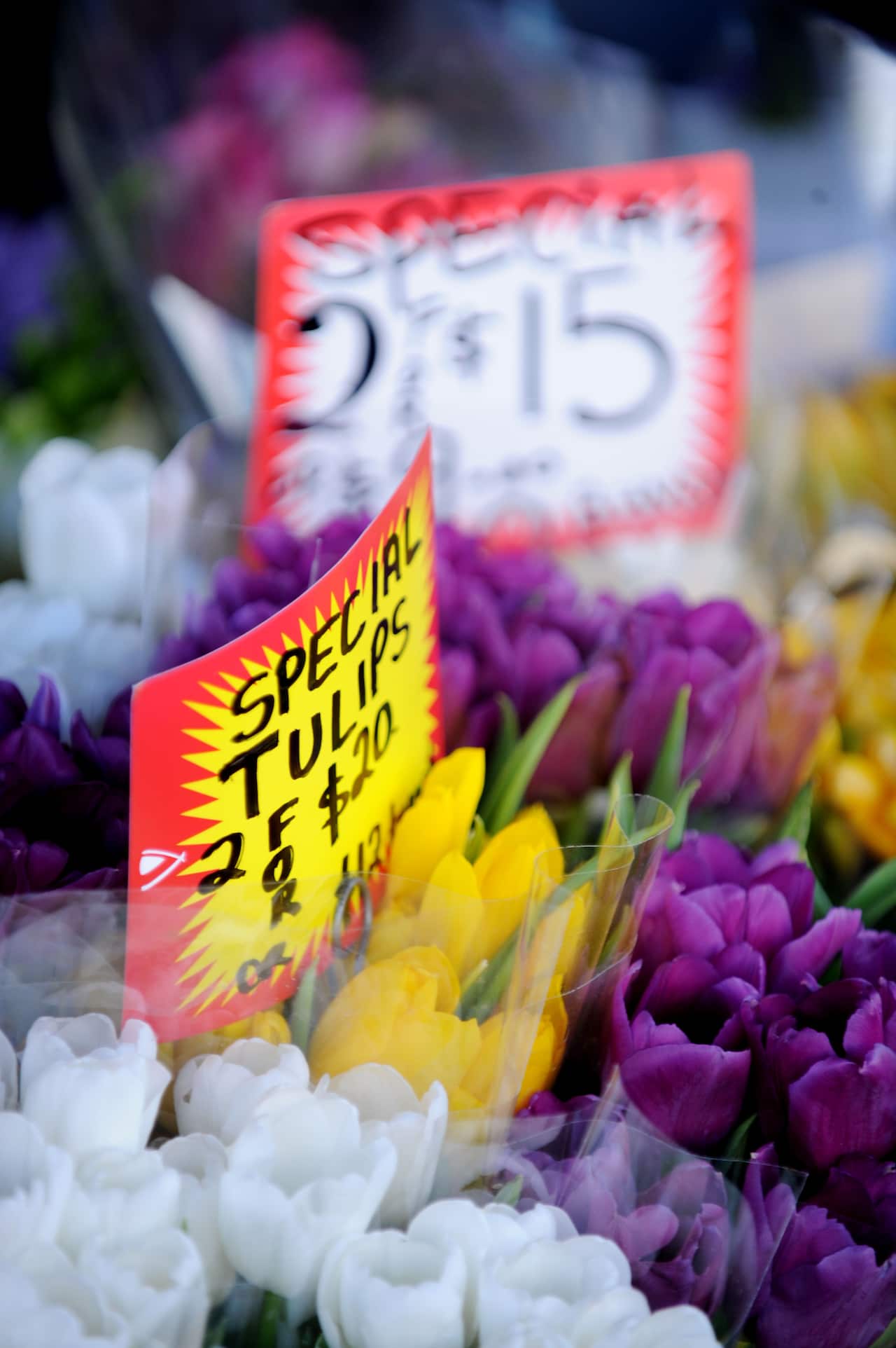 A  fruit and vegetable shop sells flowers in Charing Cross, east of Sydney. (AAP Image/Tracey Nearmy) 