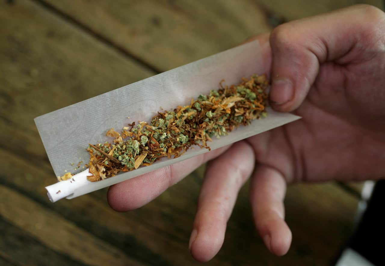 file photo a regular user of soft drugs demonstrates how to roll a joint with tobacco and marijuana in a coffee shop in Amsterdam