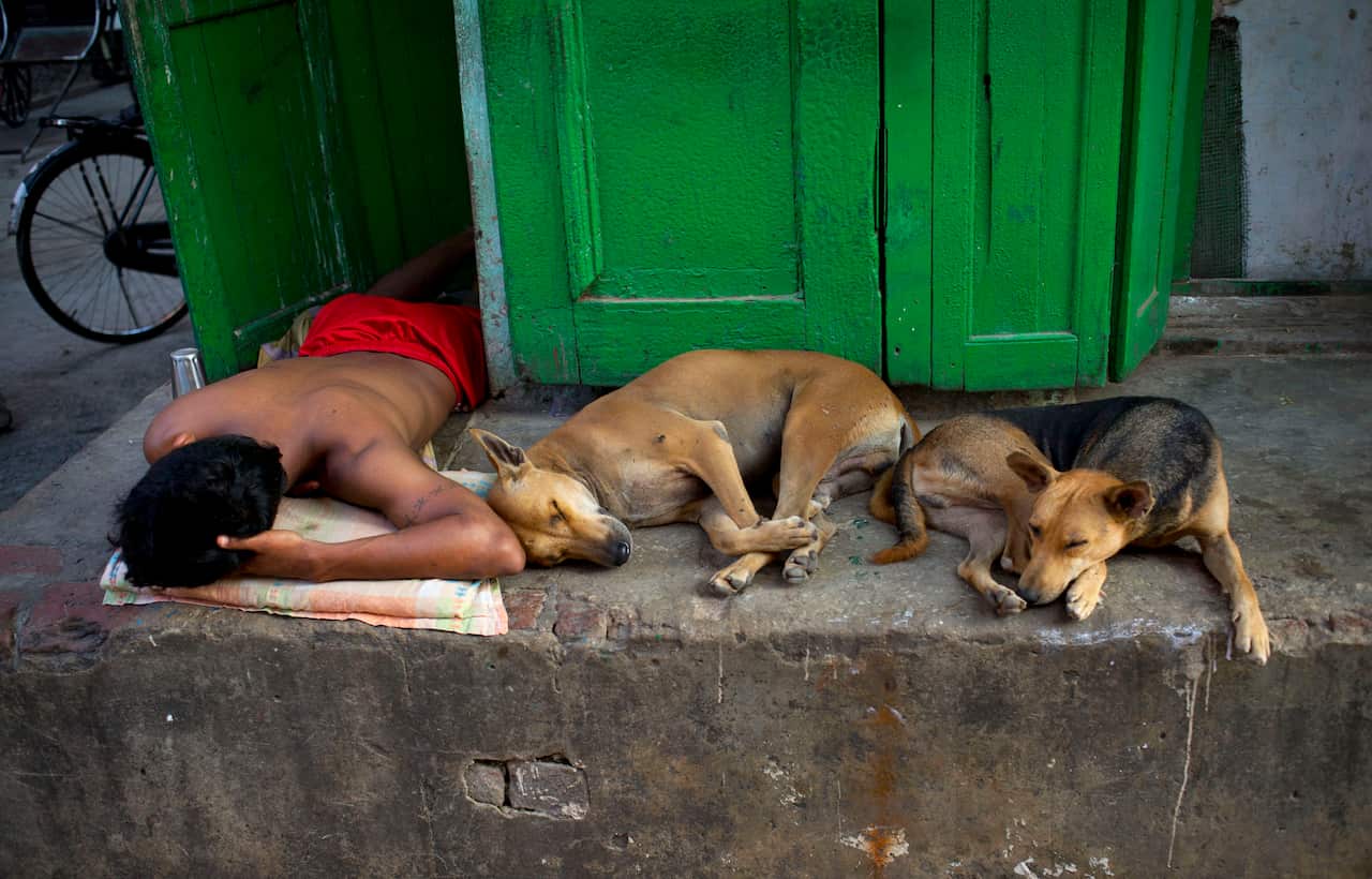 An Indian man sleeps with stray dogs in Kolkata, India, Wednesday, Oct. 17, 2012. (AP Photo/Saurabh Das)