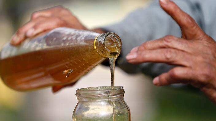 A beekeeper drops honey from a bottle into a jar at his honeybee farm