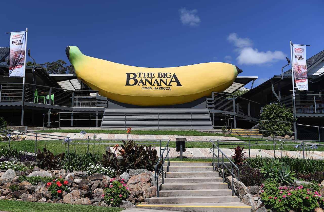 The Big Banana is seen in Coffs Harbour, Friday, October 27, 2017. The Big Banana which opened in 1964 is Australia's original and most famous 'Big Thing'.