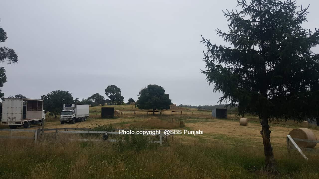 The proposed site for Sikh place for worship in Officer, near Pakenham