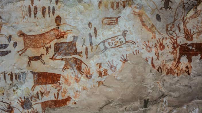 Parque Nacional Chiribiquete